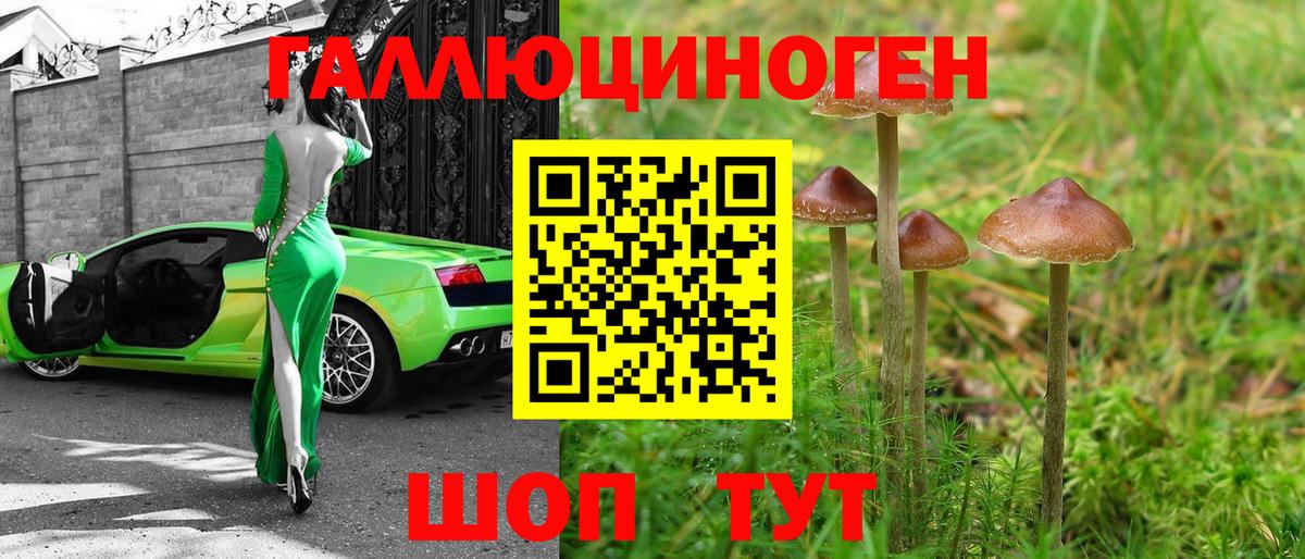 наркошоп  Вход с VPN  Изобильный  Галлюциногенные грибы мицелий 